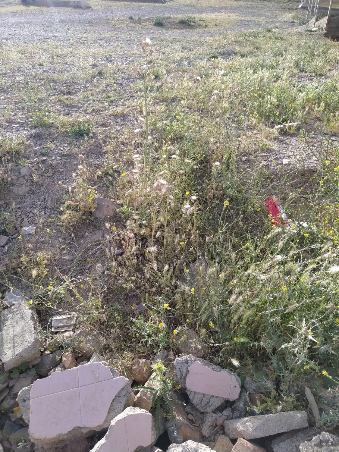 زمین قور پاگر