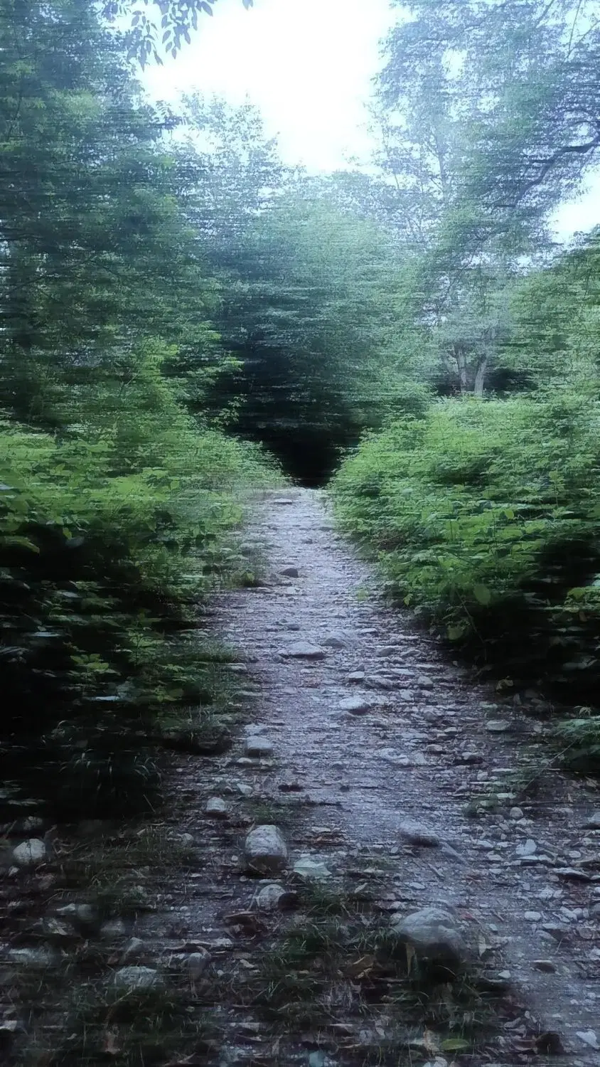 زمین در کفشگیری