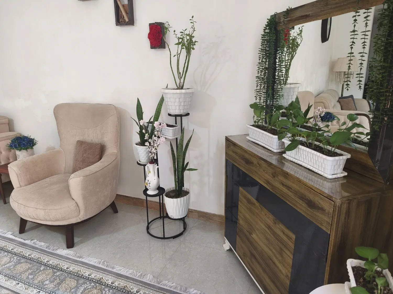 ۱۲۰ متری مسجد امیرالمومنین