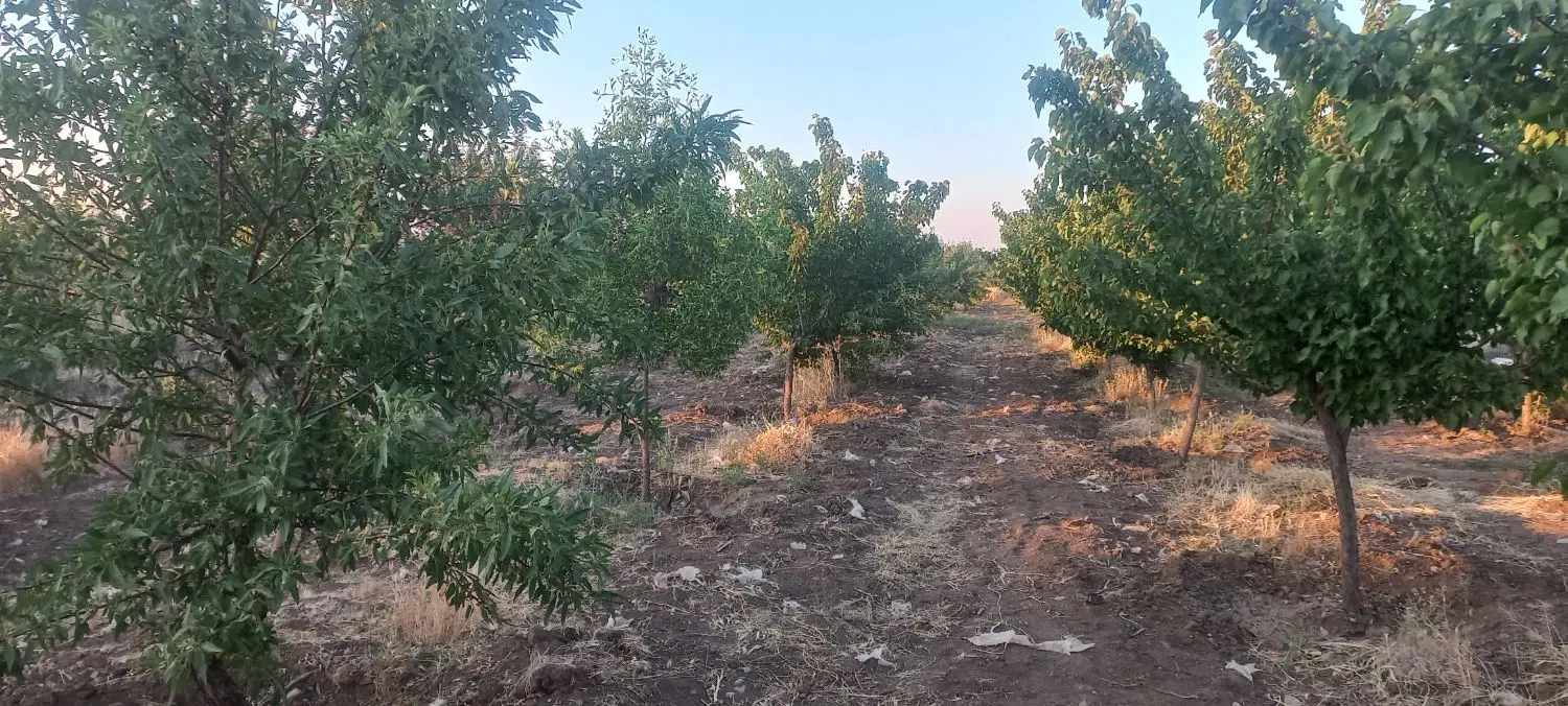 ۵۵۰۰متر باغ با برق۳ فاز محدوده شهرجهت سرمایه گذاری