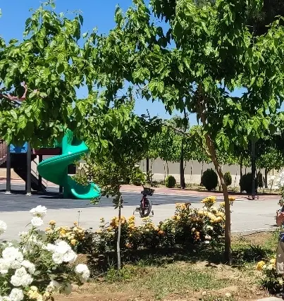 زمین با پروانه ساخت و وام بلاعوض