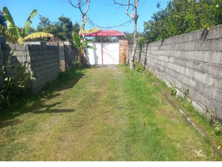 جوی ای خونه