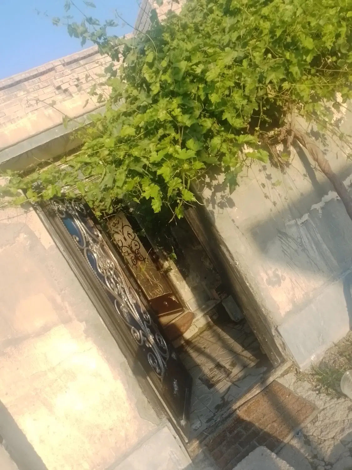 خانه دربست تک خواب ۶۰متری