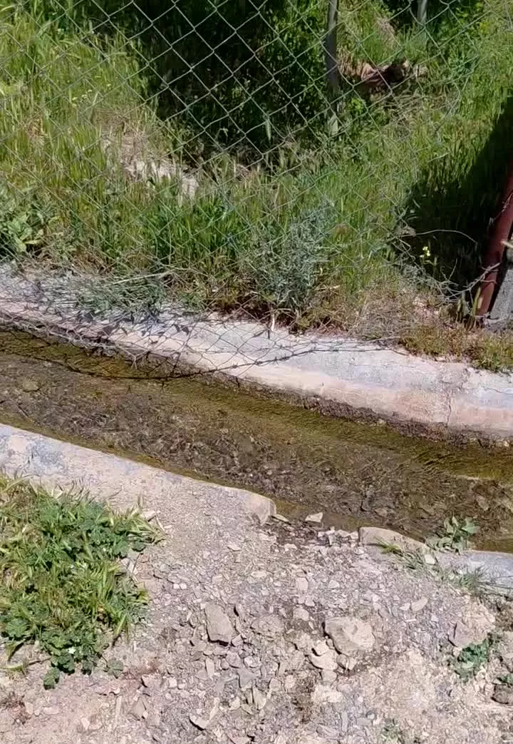 باغ با آب قنات(قدمگاه