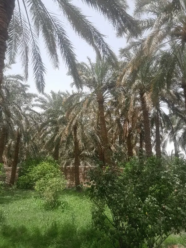 زمین فروشی