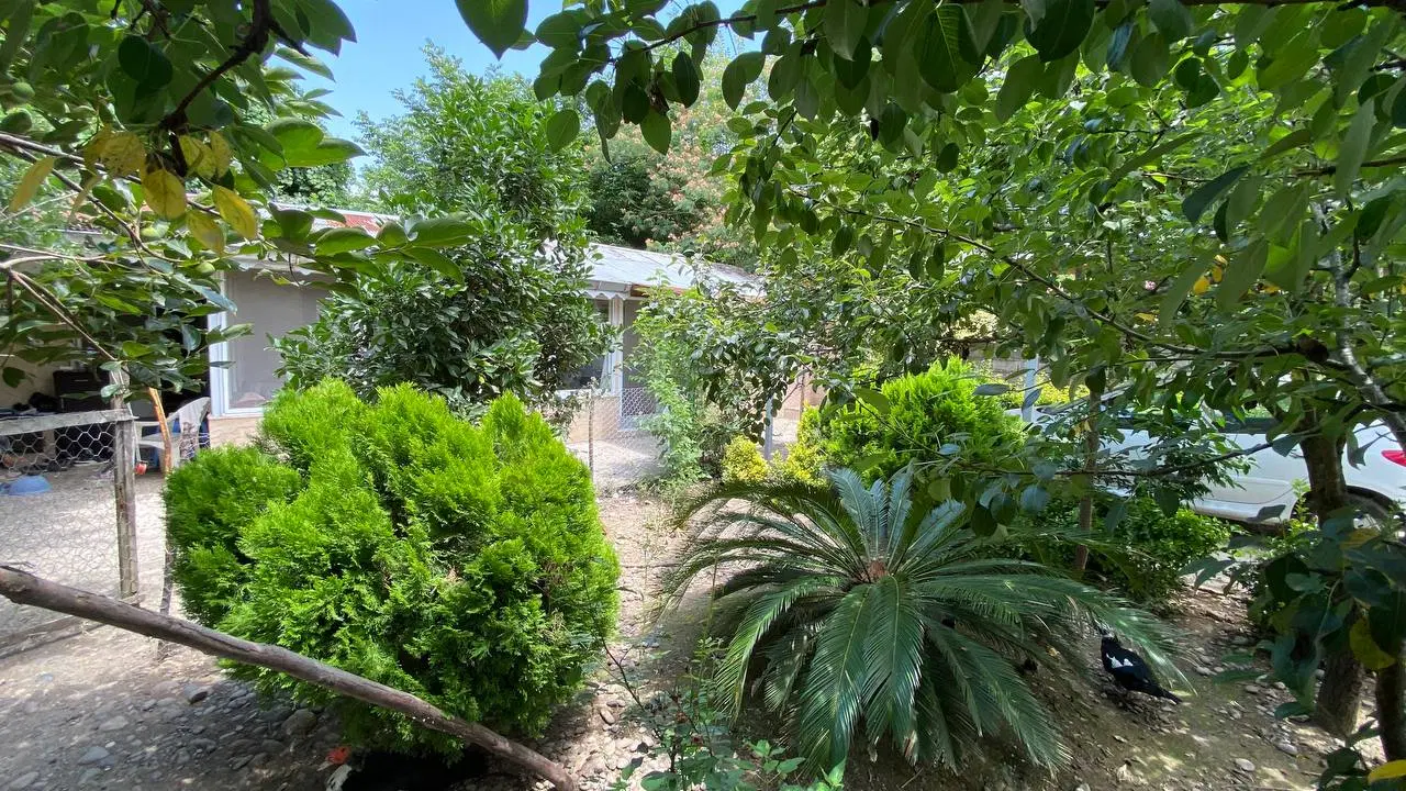 خانه باغ بهمراه پرورش ماهی