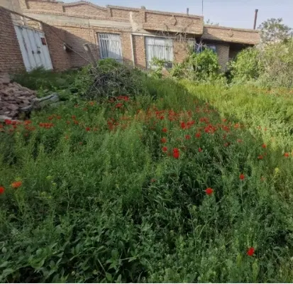 فروش خانه ویلایی