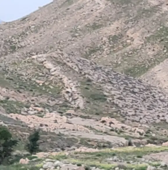زمین مشاع 200 متری