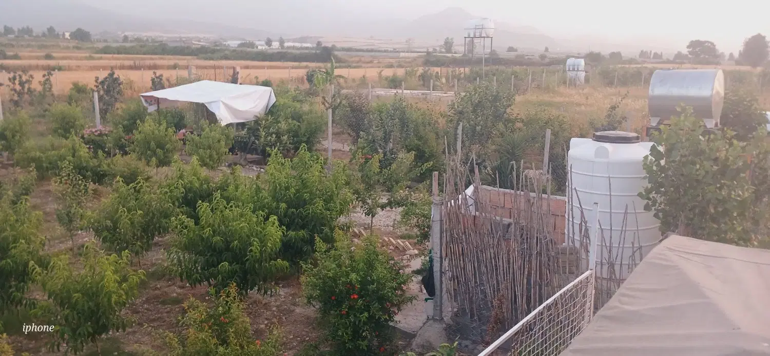 باغ ۴ ساله و درختای بار ده