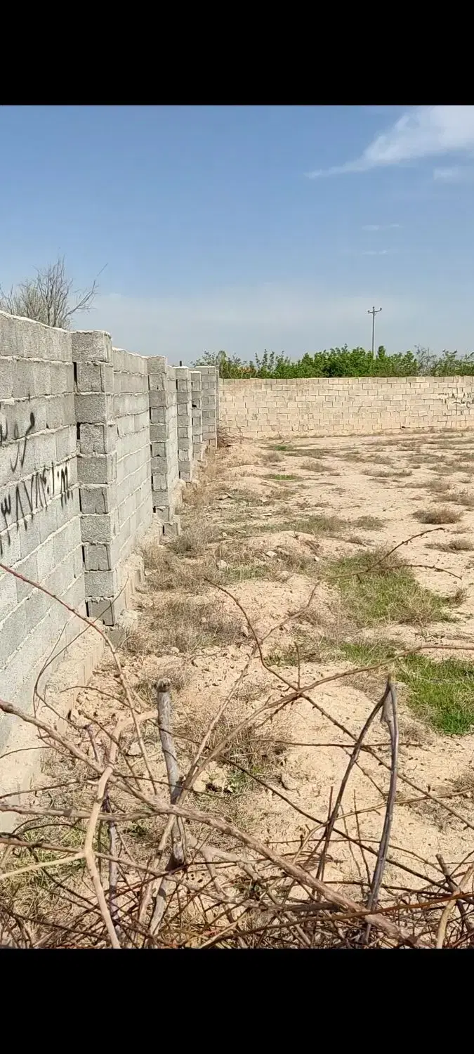 زمین 900 متری مفت مفت