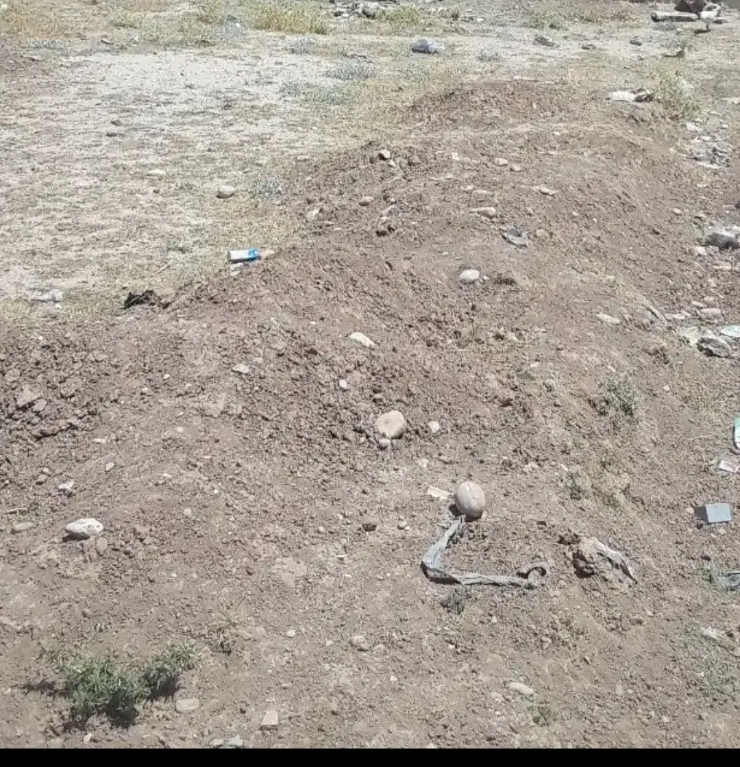 زمین مسکونی