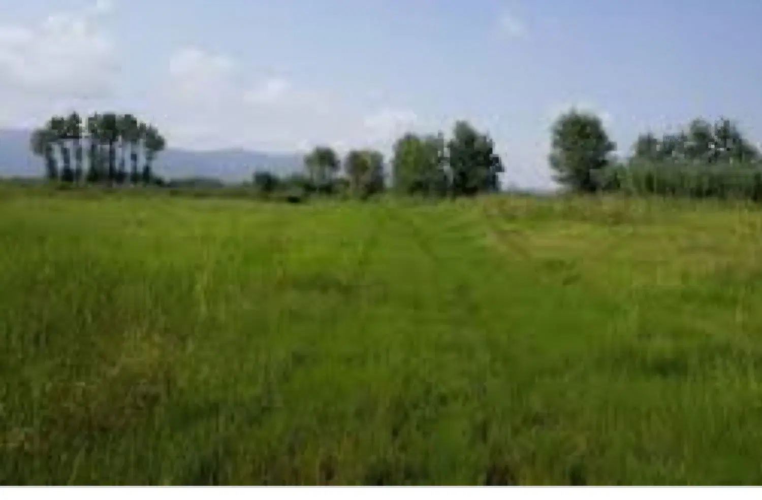 زمین تجاری جهت ساخت مغازه  فرهنگیان