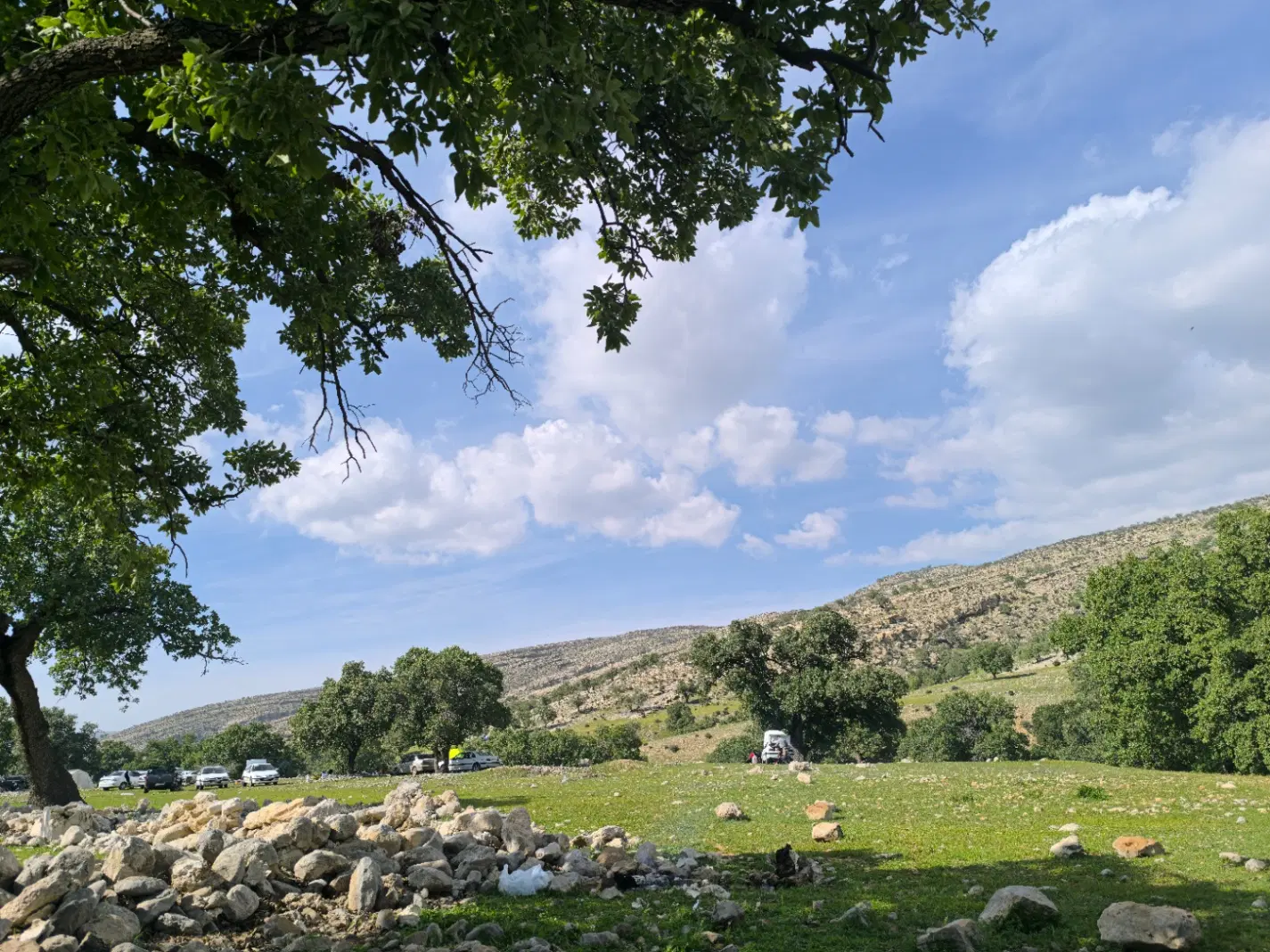 فروش قواره هزار متری باغ شهری نوبندگان