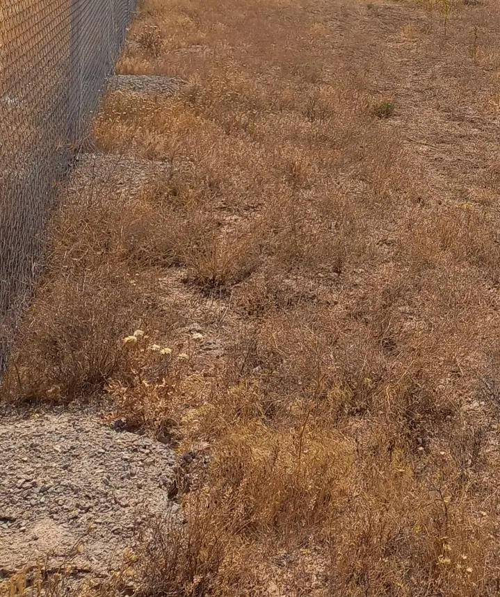زمین روستای پائین کوه ،در یک قدمی محدوده