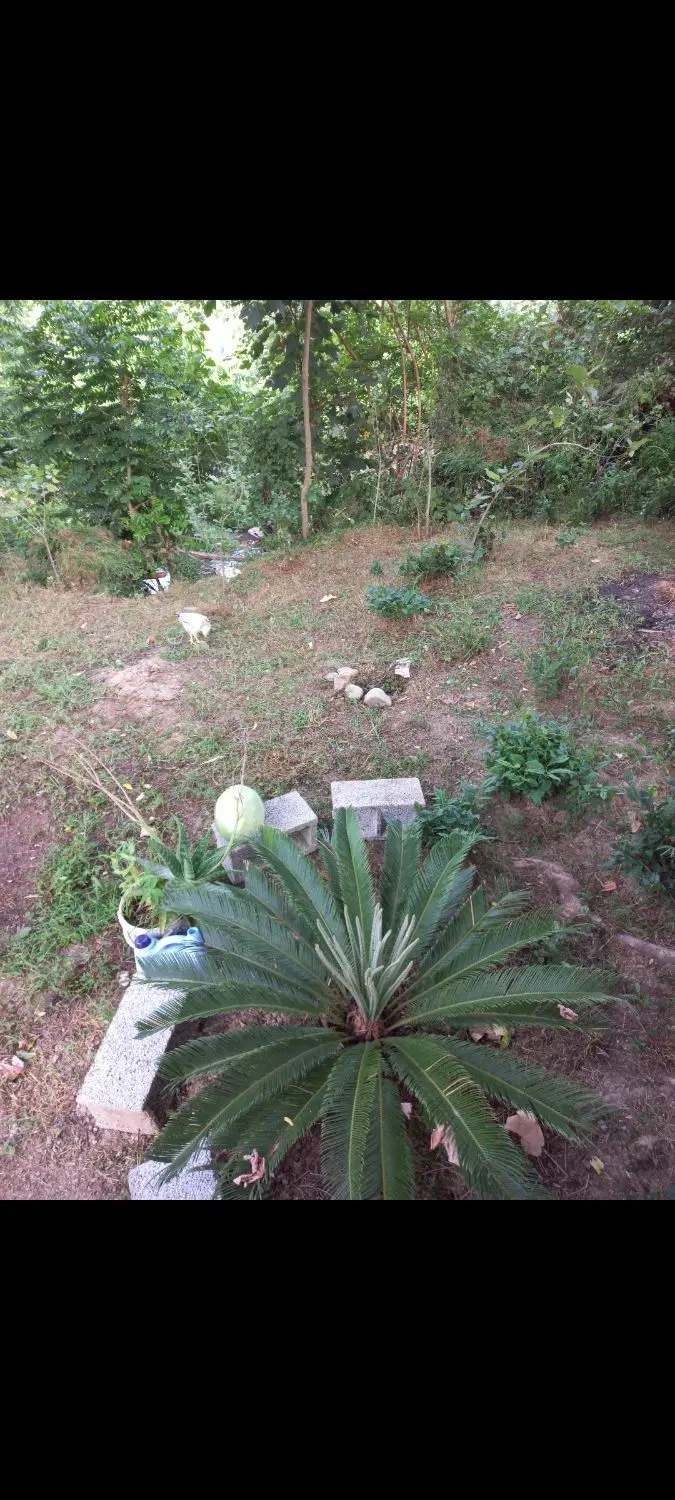 زمین روستایی خوش  آب هوا
