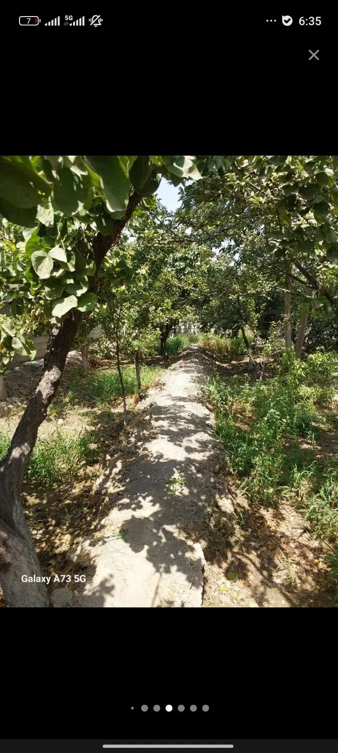 600 متر باغچه شمالی