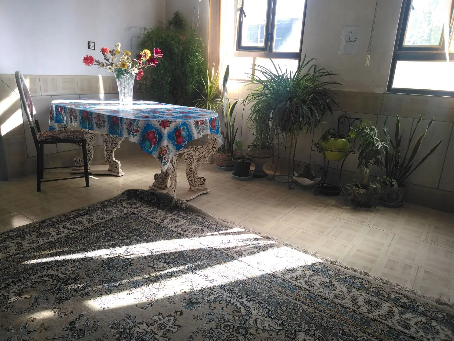 سوئیت همکف  با حیاط