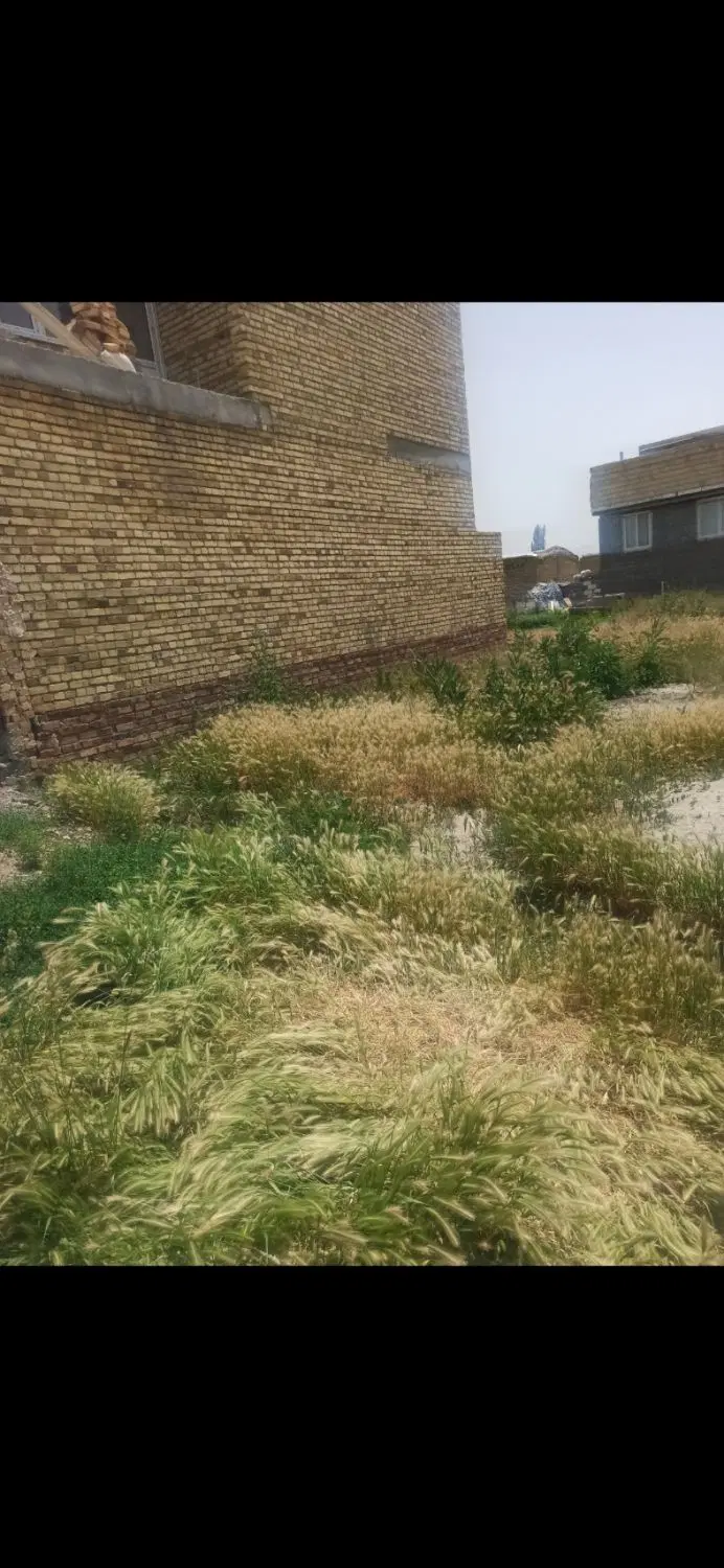 فروش زمین در روستای قصور کوچه محمد زاده