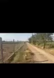 باغ رویایی گردو و بادام با سند تک برگ