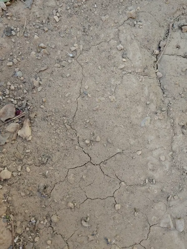 زمین نیاوران قصر سبز صدرا(تعاونی منابع طبیعی)