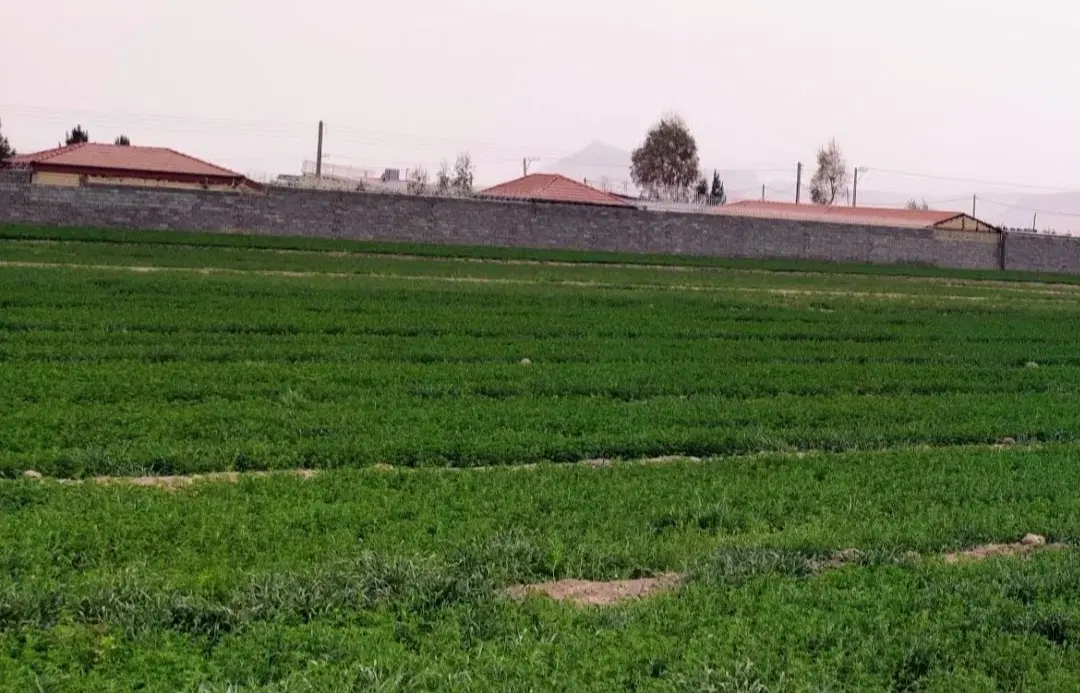 چهاردیواری هزارمتر