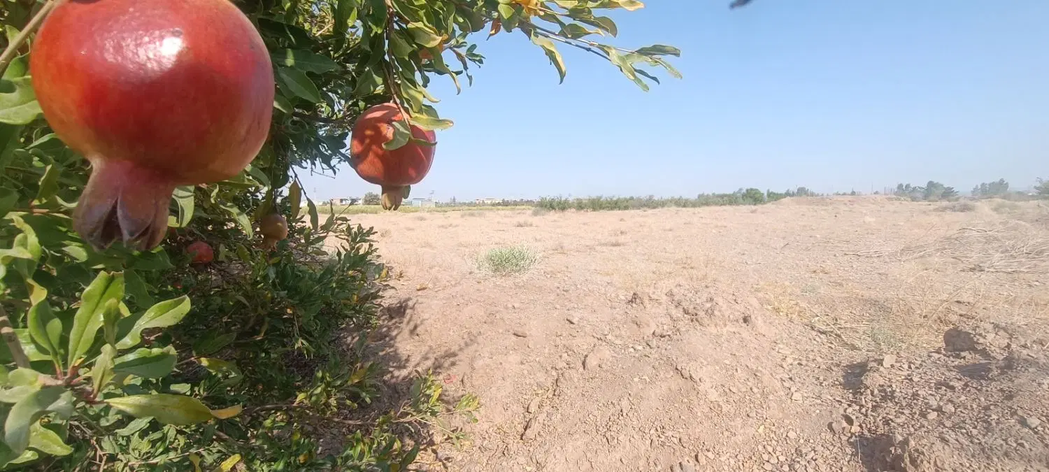 فروش زمین ۱۰۰۰ متری، خوش نقشه، سند تک برگ