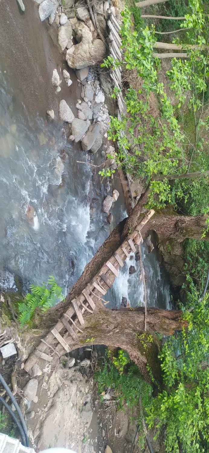 بوم‌گردی در کنار رودخانه و در دل جنگل