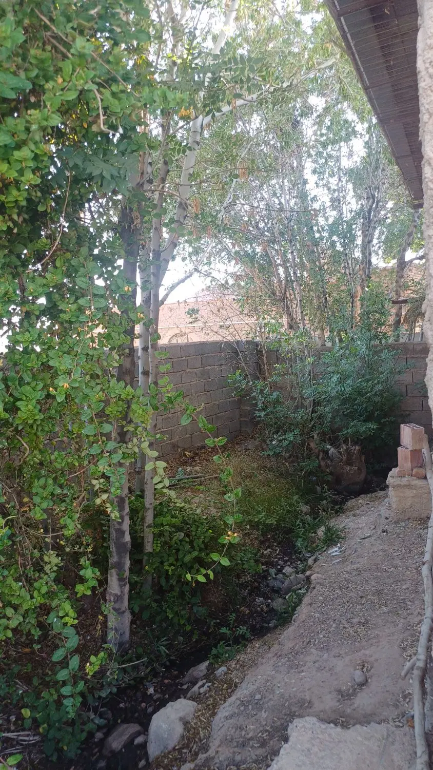 خونه باغ اطراف کرمان با جوی آب