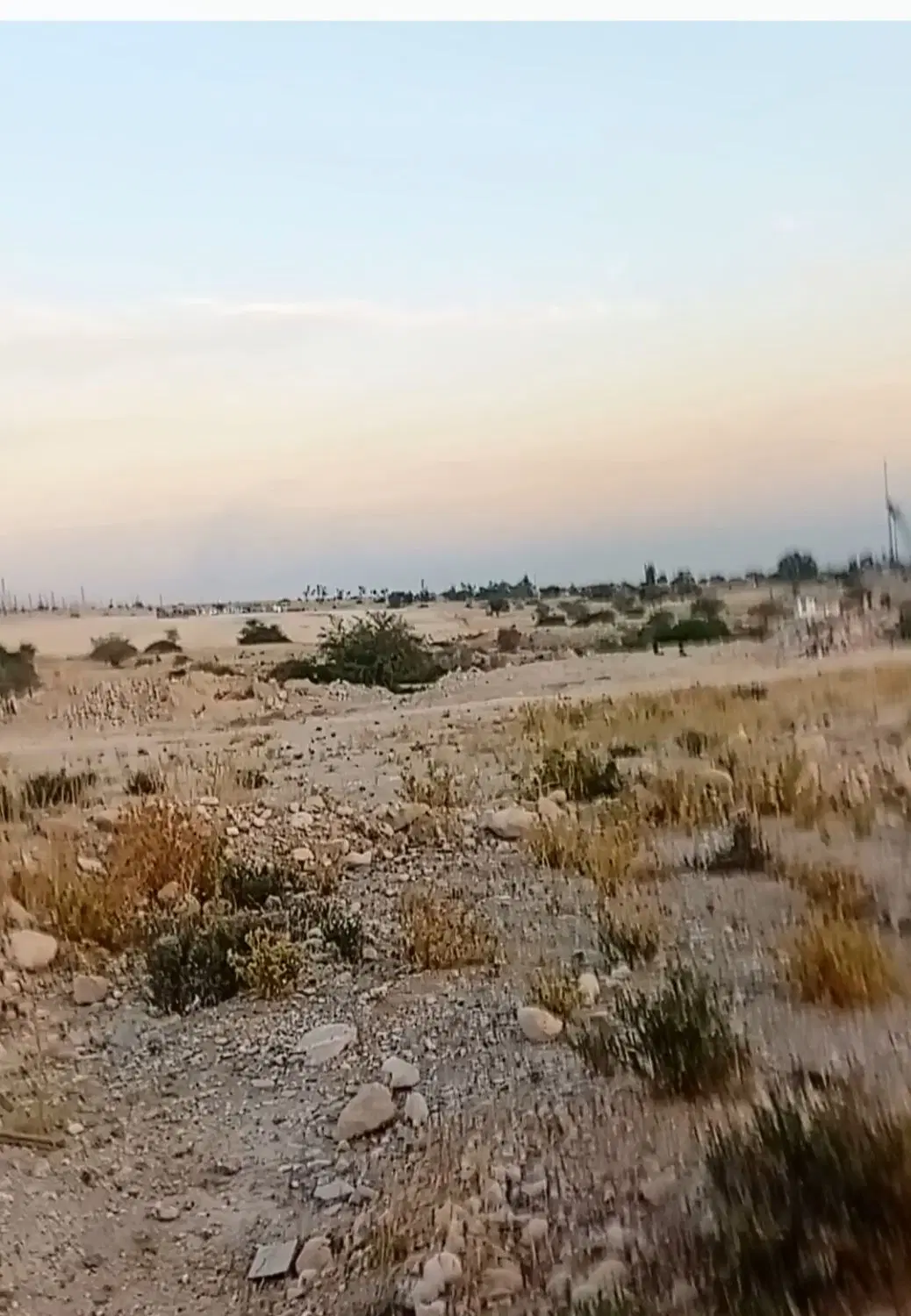 فروش زمین تجاری رجایی کنگان