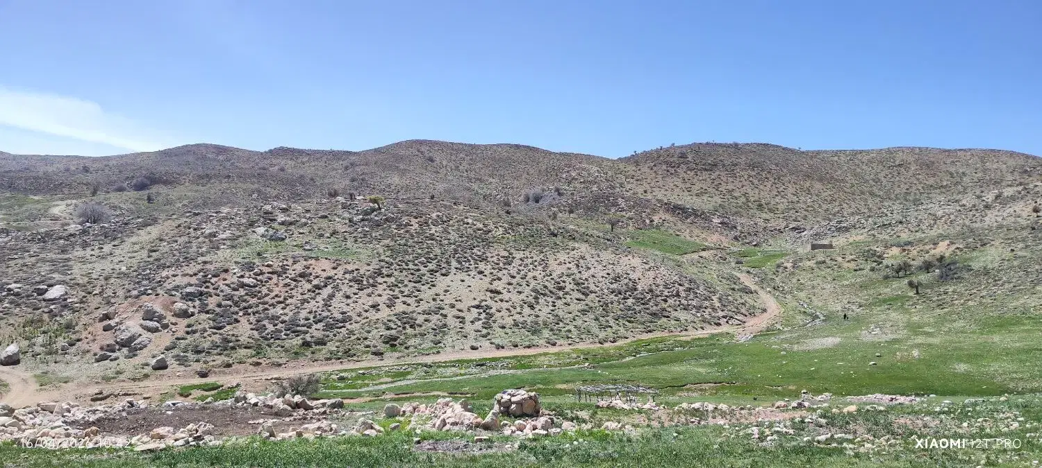زمین با موقعیت تجاری
