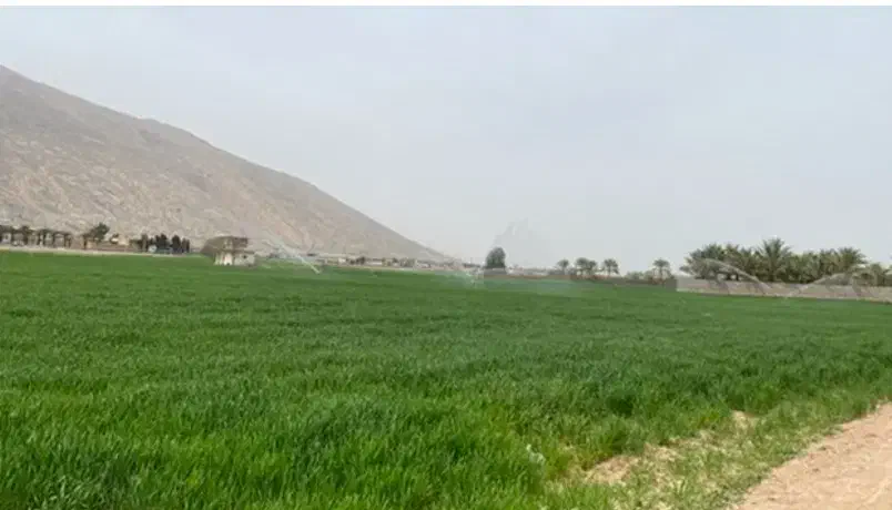 فروش زمین باغشهری در منطقه سبز کازرون