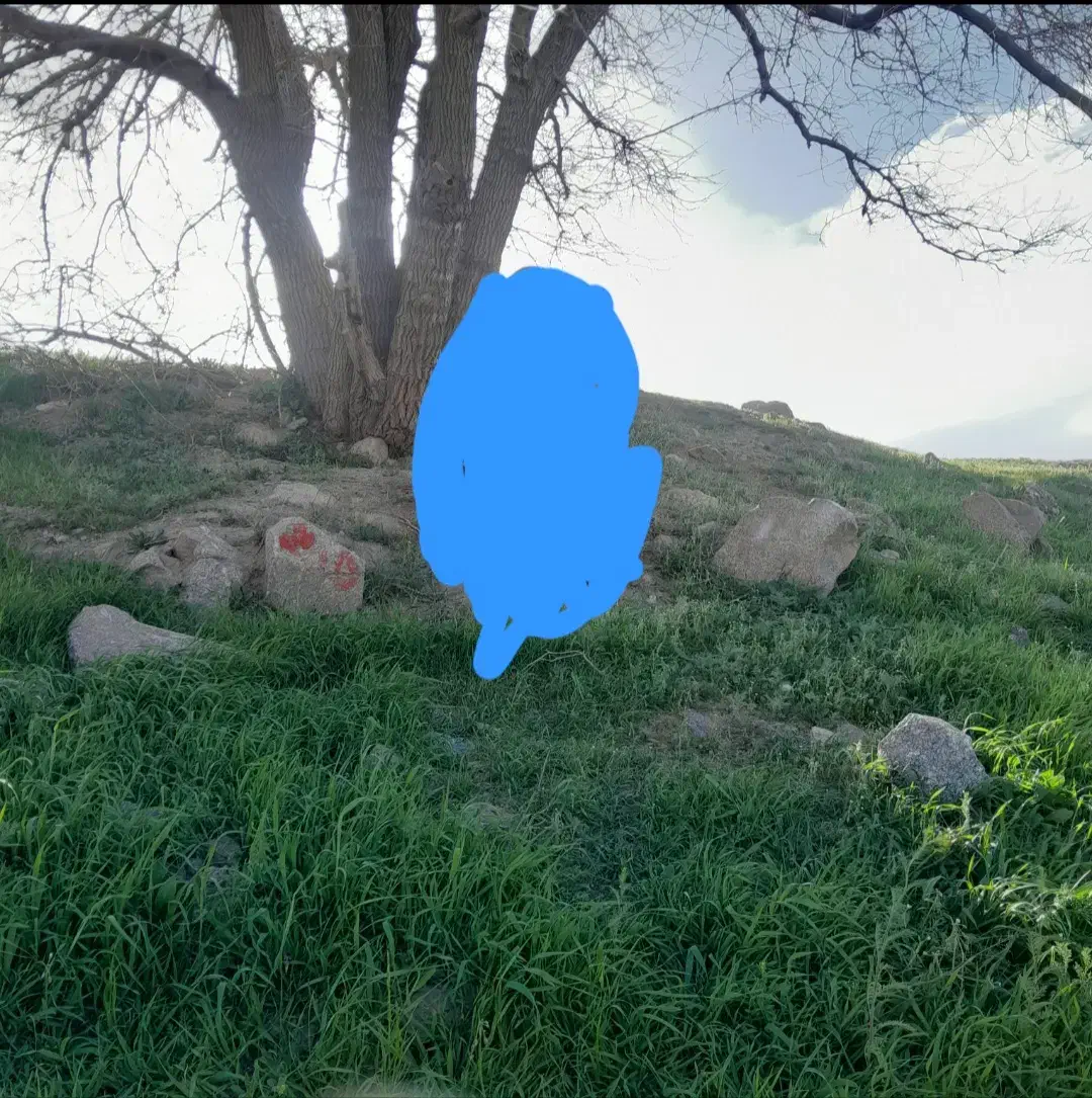 باغچه زمین