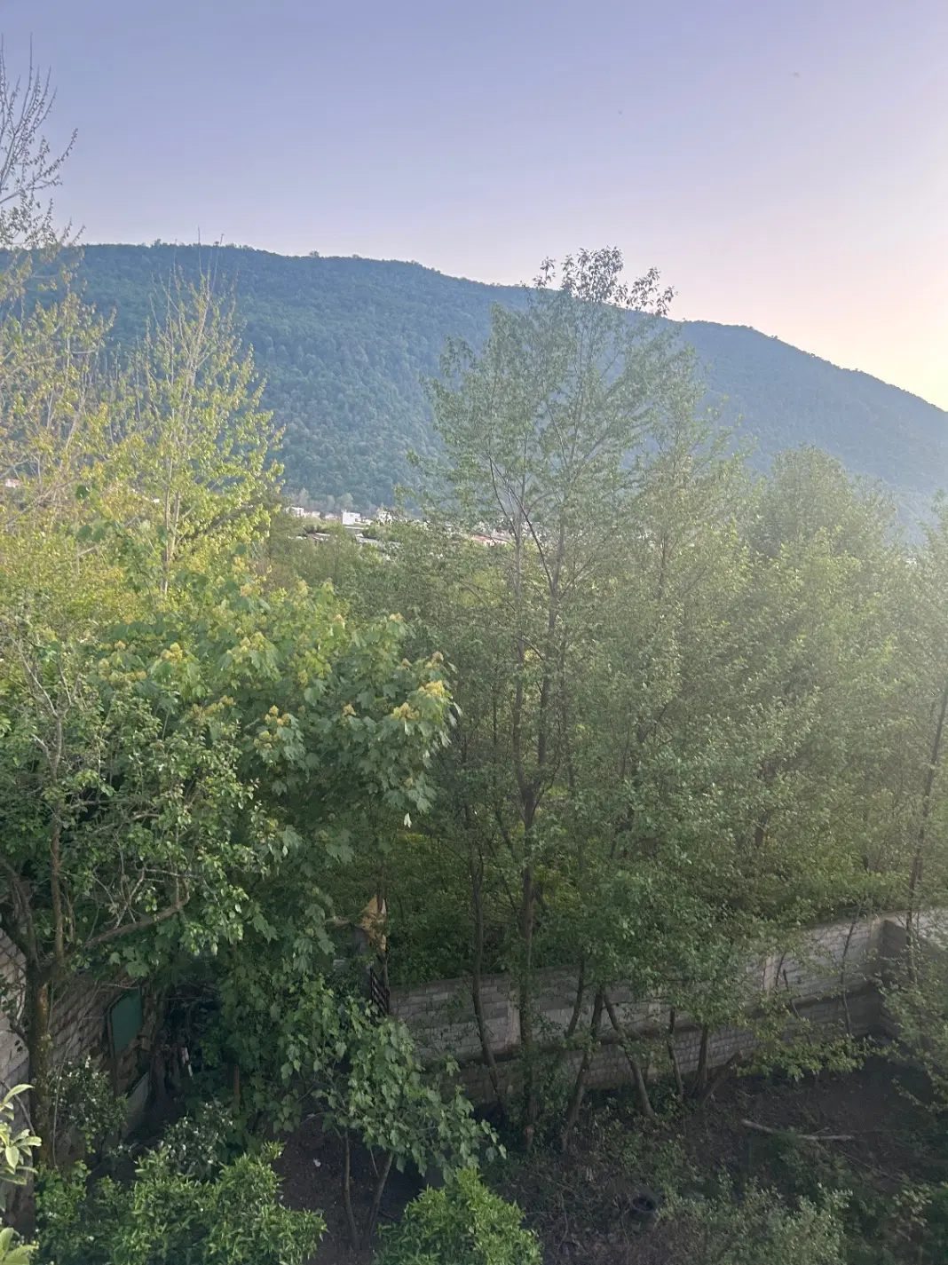 ۳۰۴ متر زمین در نعمت اباد ویوی جنگل