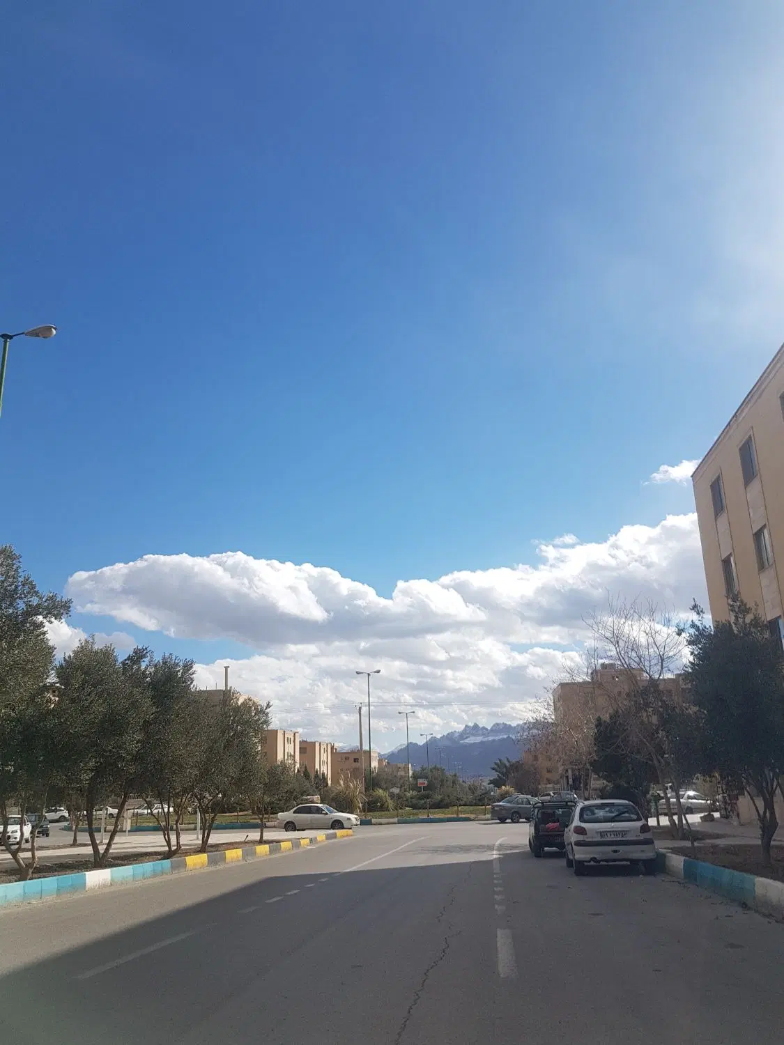 زمین تجاری