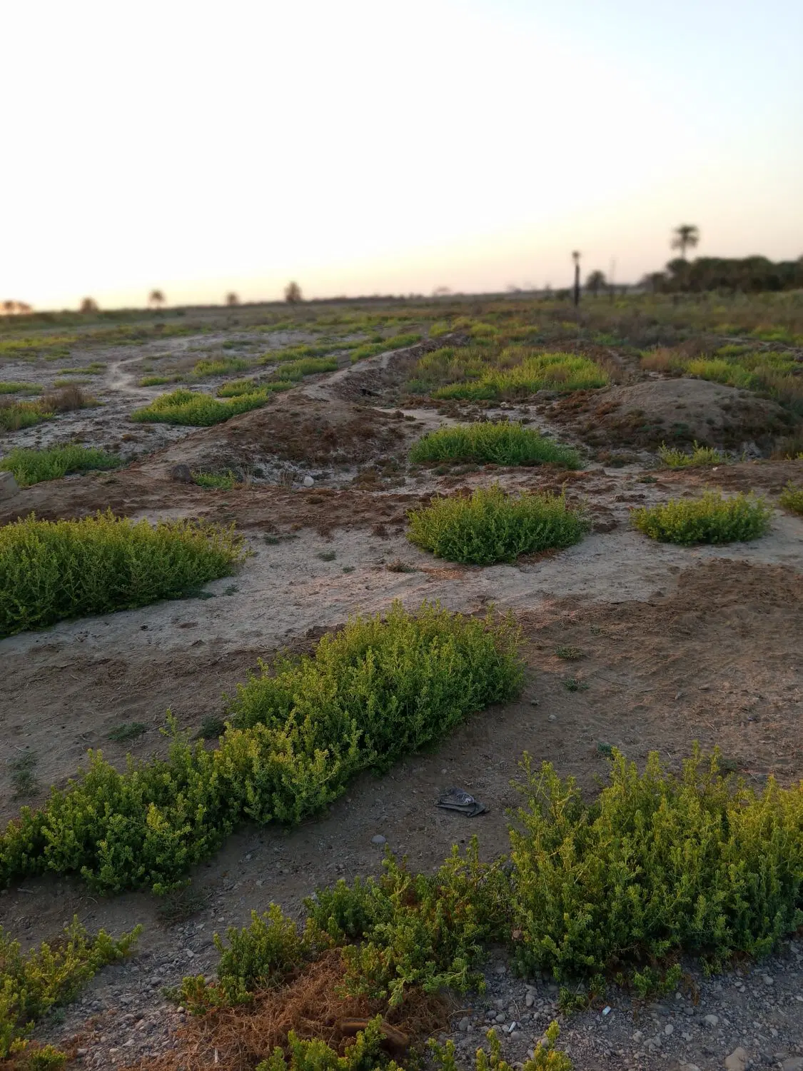 زمین به میرسد3700 متر