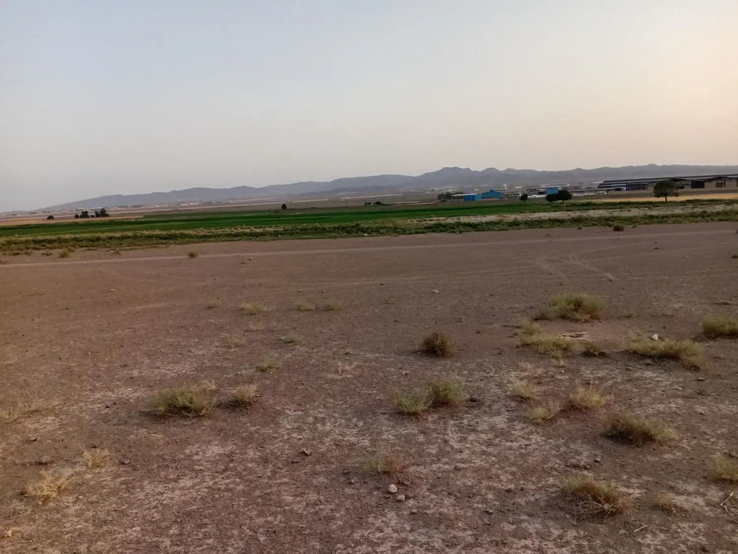 ۱۶۰۰ متر زمین مجوز پرورش قارچ