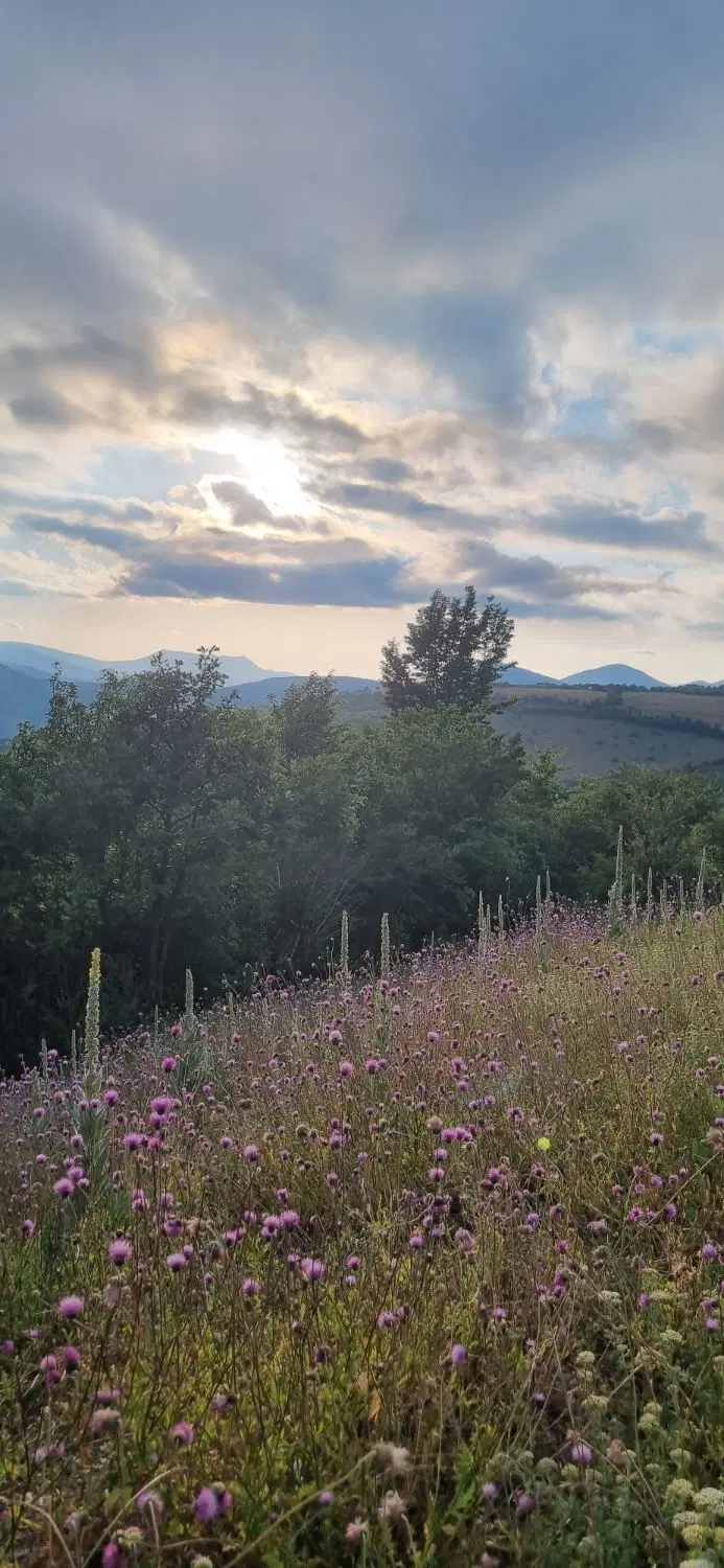 ویلای کوهستانی
