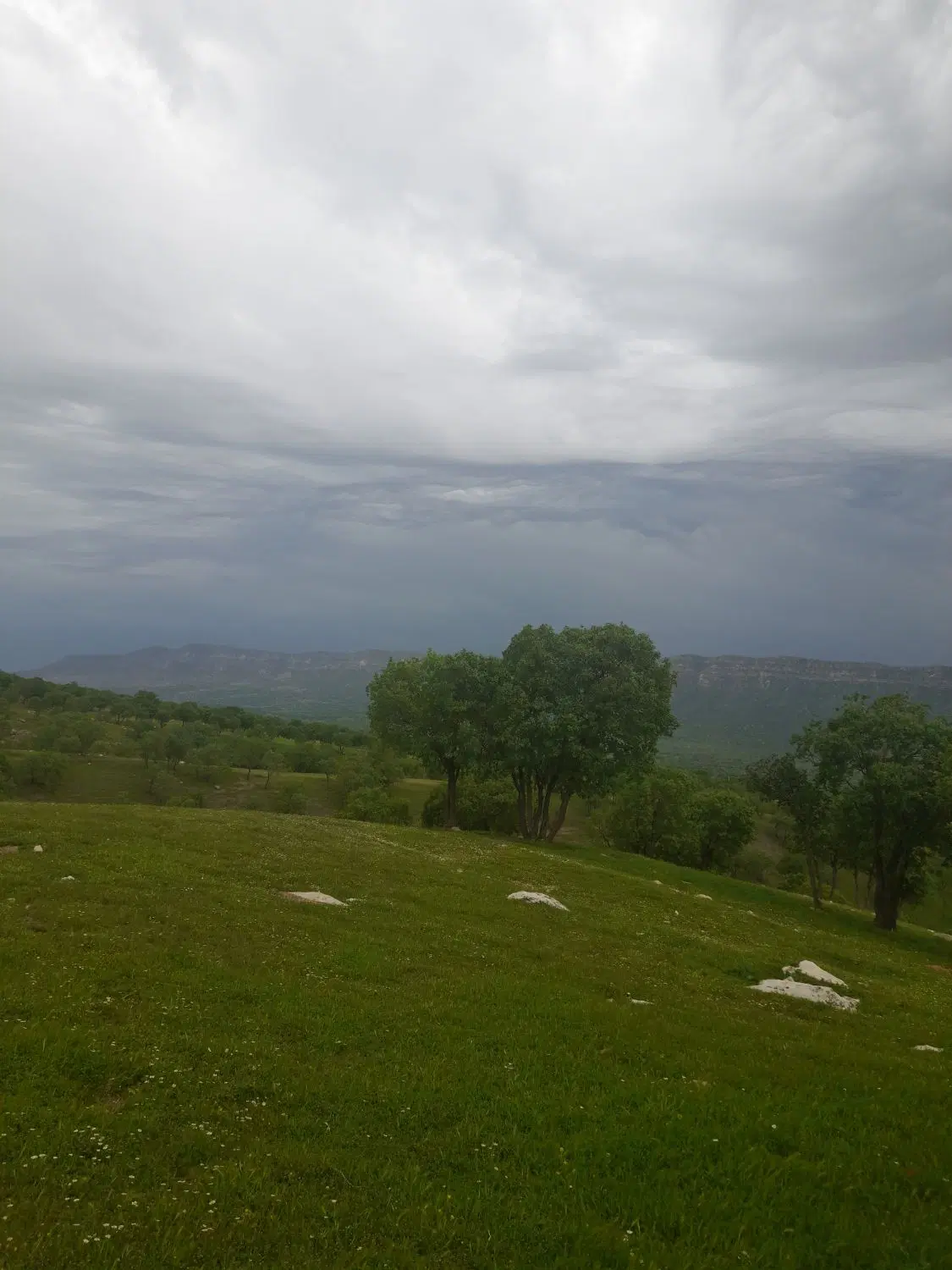زمین فروشی واقع در نیایش ۸تازه آباد غربی