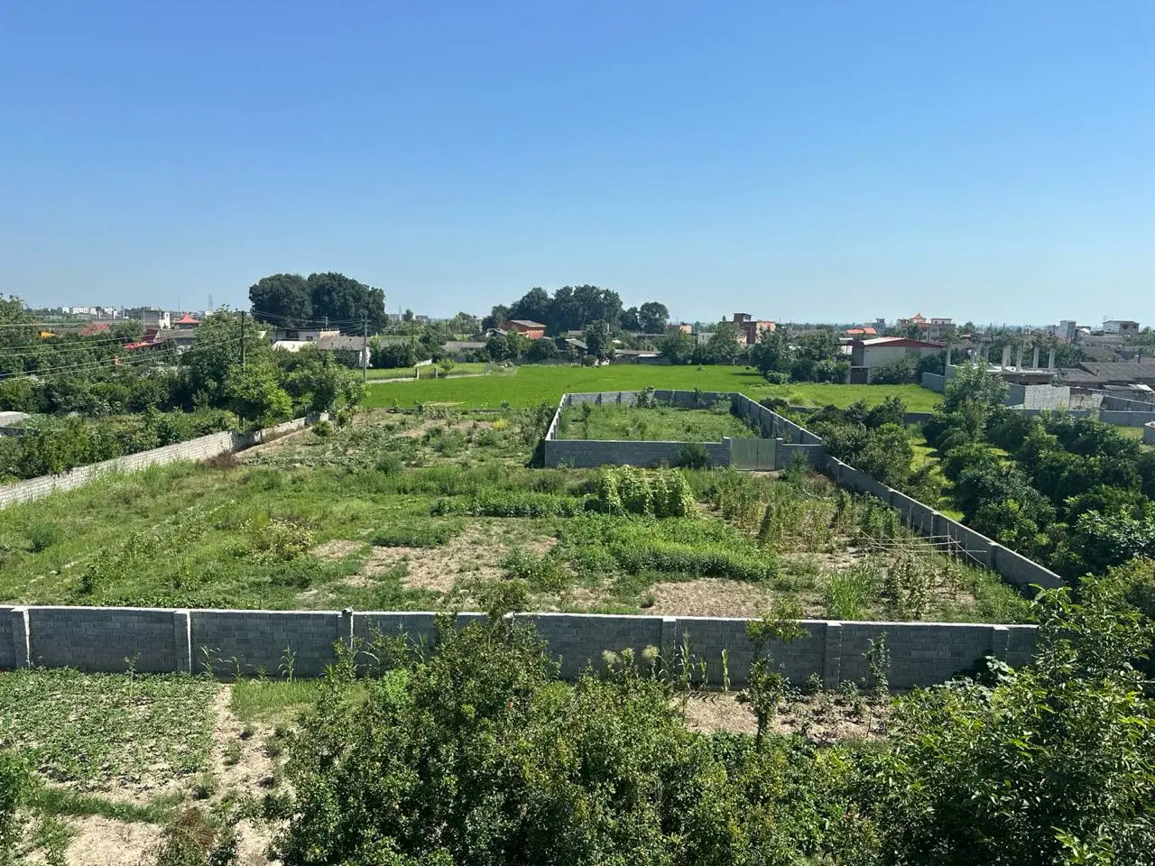 فروش زمین باغی یا کشاورزی