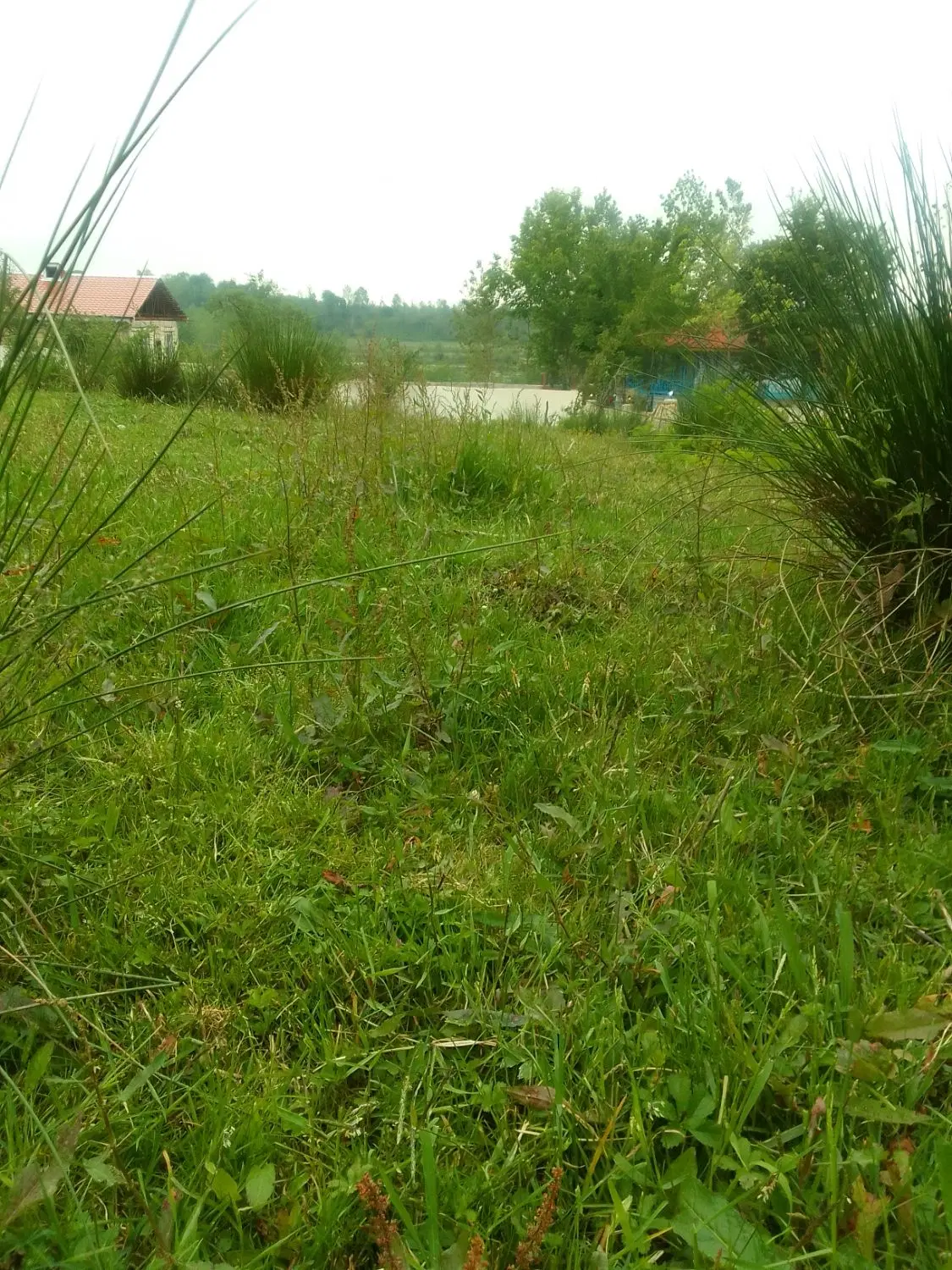 زمین مسکونی در شفت روستای خرفکل منطقه خوش آب و هوا