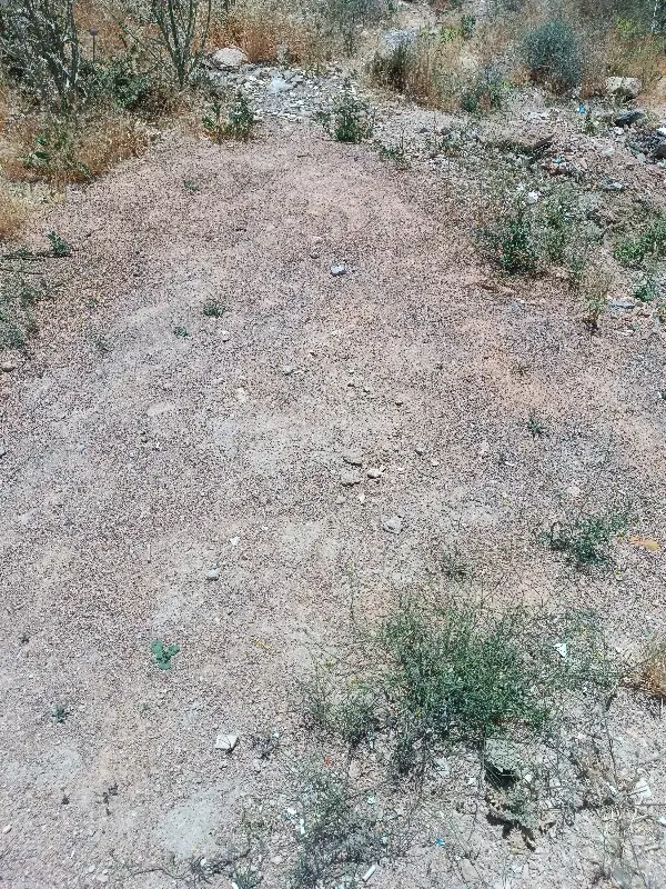 فروش زمین صدرا