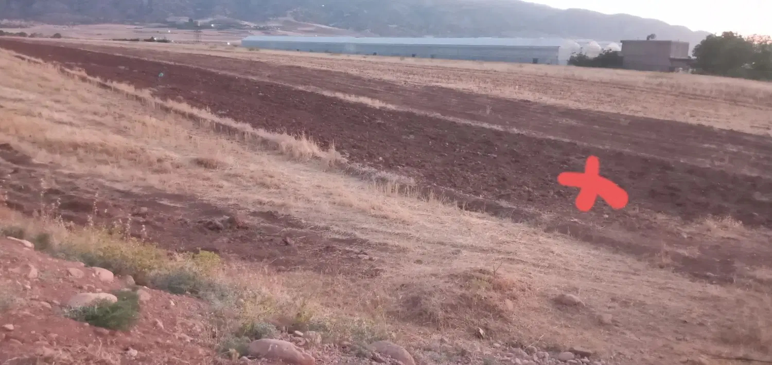 زمین کشاورزی جاده کمربندی نیروگاه برق