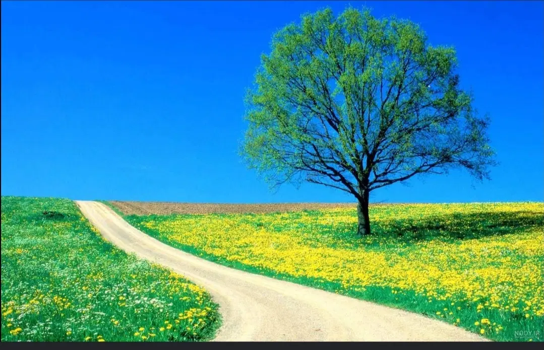 زمین باغ ویلا کورانه شینقر