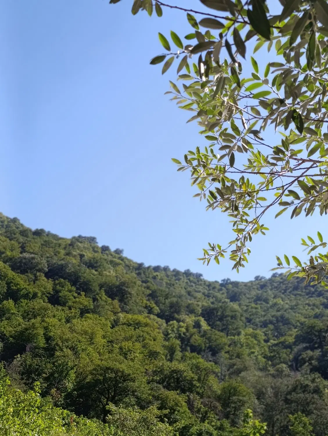 باغ منزل روستای دشتغران