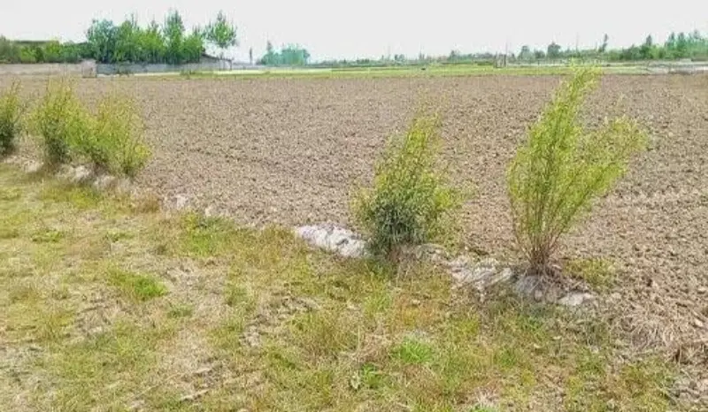 زمین کشاورزی