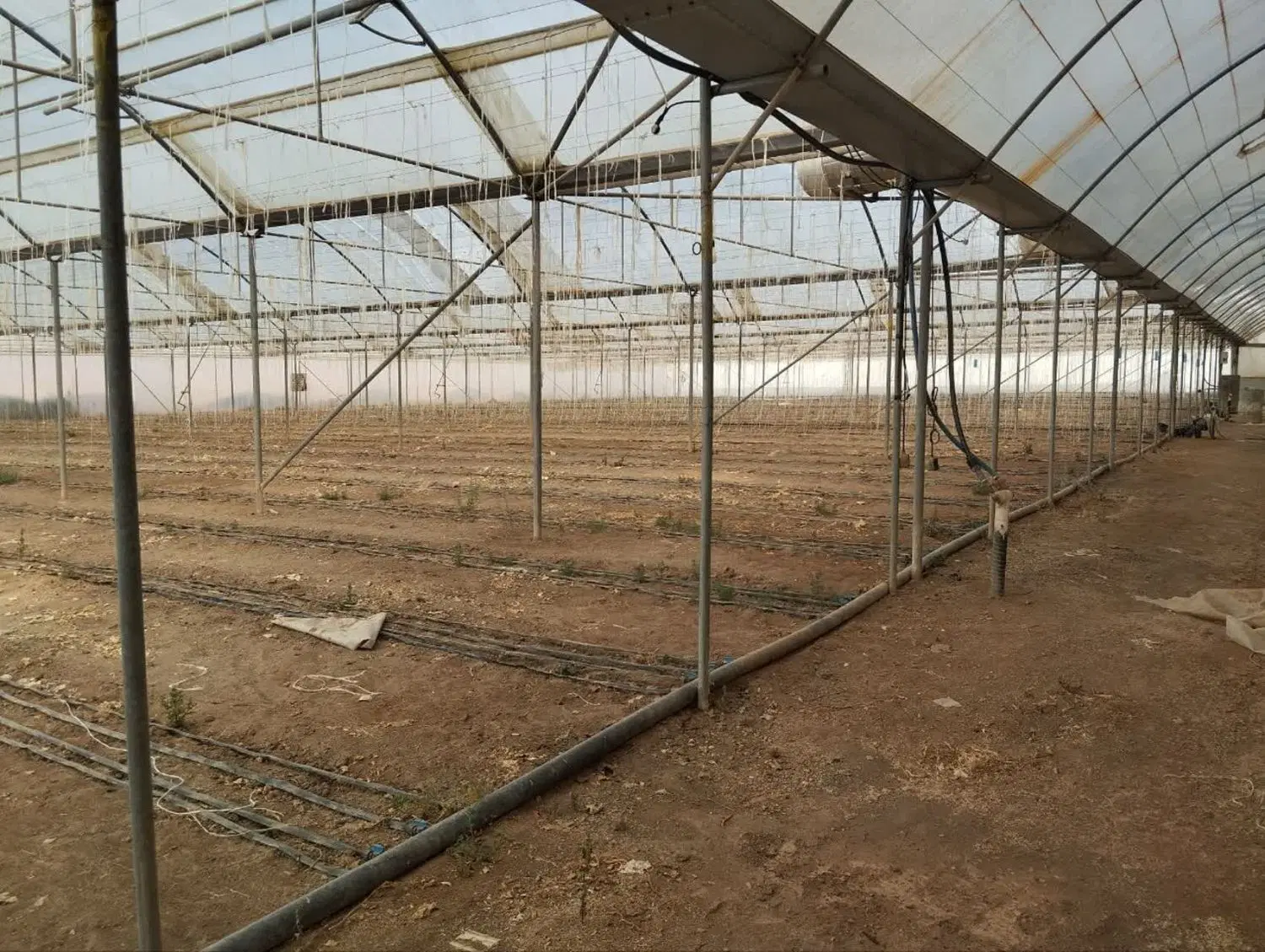 اجاره گلخانه صنعتی نایین