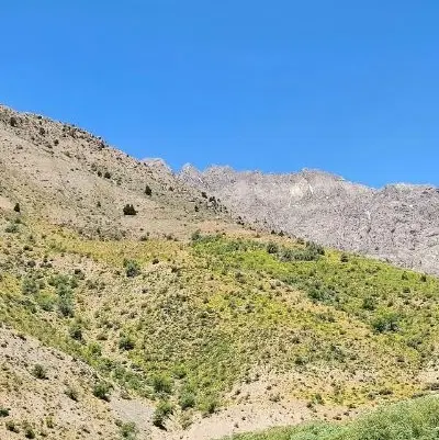 فروش باغ ۱۰۰۰متری