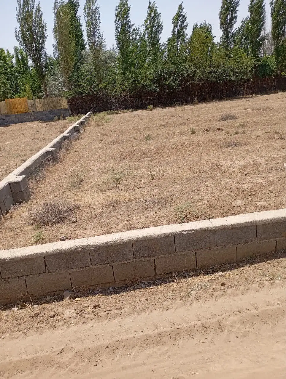 زمین باغی 717 متری فرصت سرمایه گذاری در ماهدشت