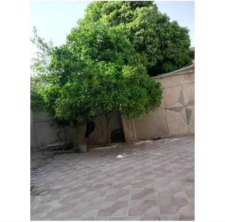 فروش منزل ویلایی در فلکه ی ولی عصر