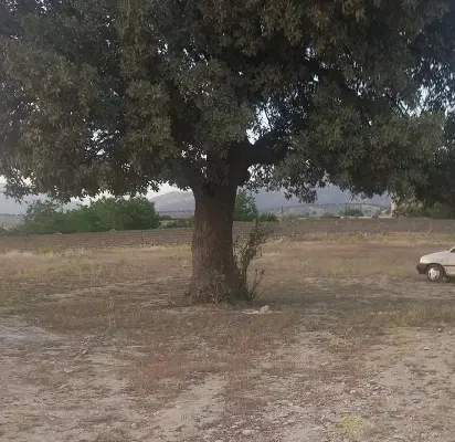 ۲۰۰۰هزار متر